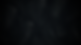 palmsbgvinyet.png