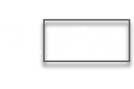 Eli Wise Logo rectangle grey_edited.png