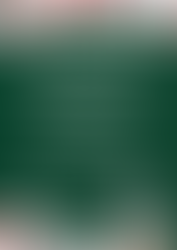 Charity bridge & afternoon tea event October 2025