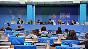 ‘Cali Fund’ launched at CBD COP16 in Rome to boost biodiversity finance