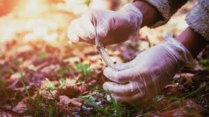 In Digital Genetic Data, An Uncertainty Over Ownership