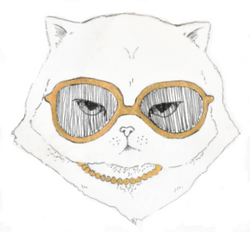 猫夫人 サングラス