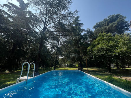 La piscina a BuckLand l'asilo per cani a Piossasco (TO)