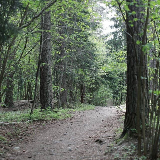 Thumbnail: Naturen kaller. Tur i skogen. Skogssti. Inspirasjon til mine strikke- og hekledesigns. Prinser & Prinsesser.