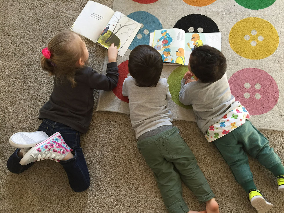 So many literacy skills are built in just looking at books