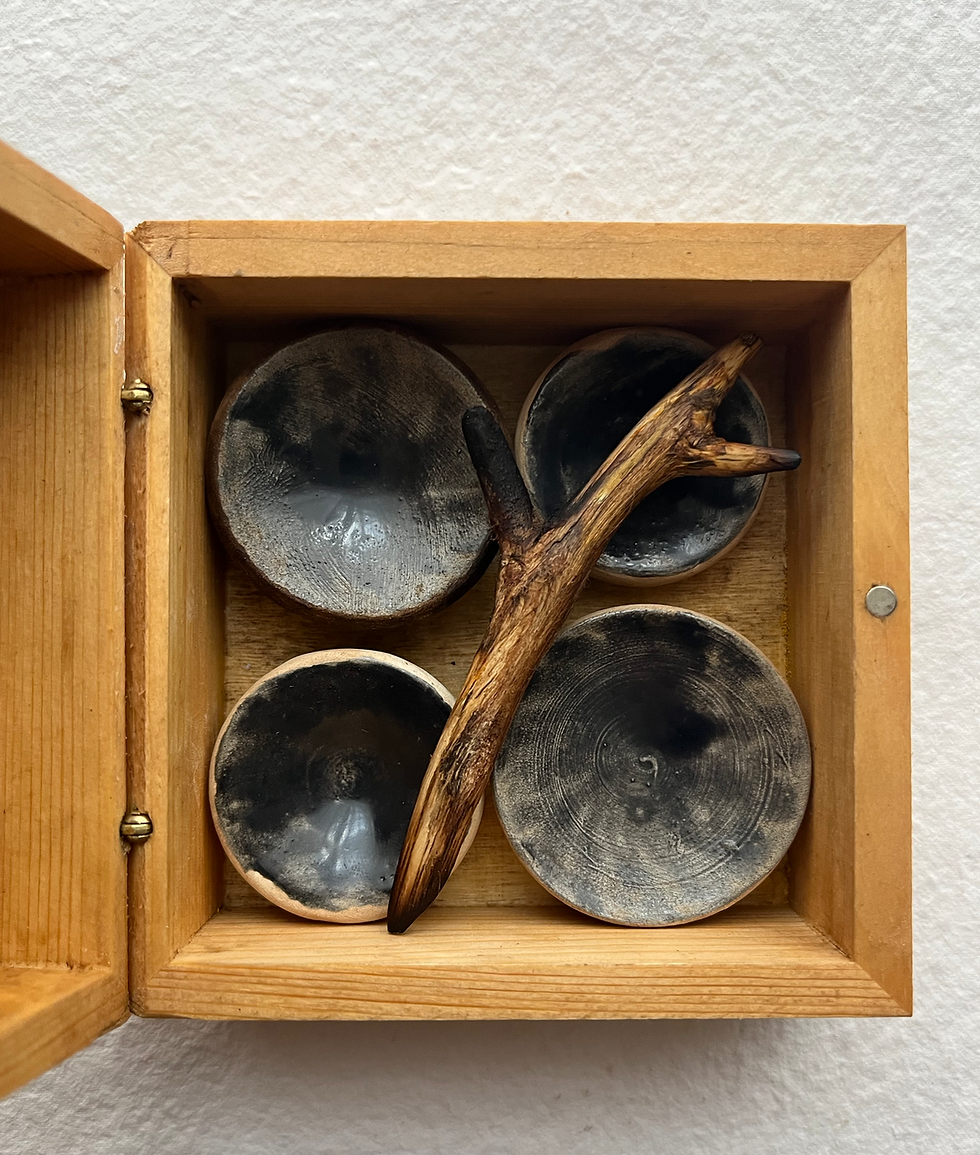Thumbnail: 4 large brush plates in wooden box