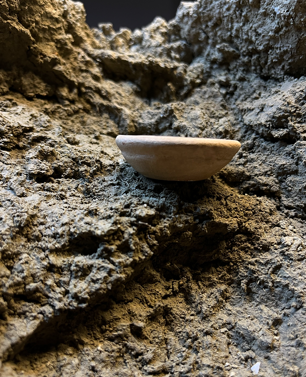Thumbnail: 4 large brush bowls filled