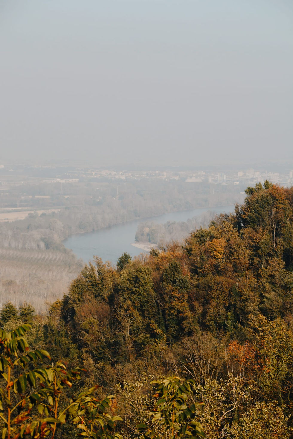 Thumbnail: 14 Camino / Autumn walks