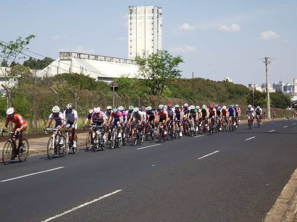 Araraquara 2680812 (25)