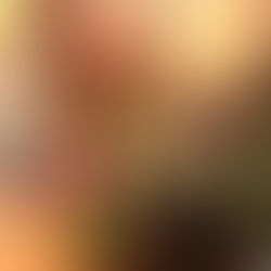 2025 Chairwoman's Circle Dinner