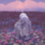 Pink Poppy Flowers