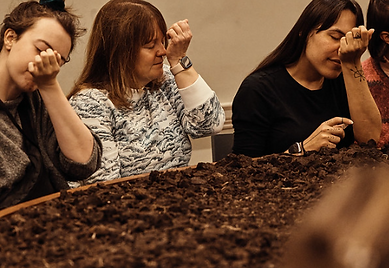 Screenshot 2026-04-22 123527.png