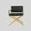Thumbnail: Directors Chair
