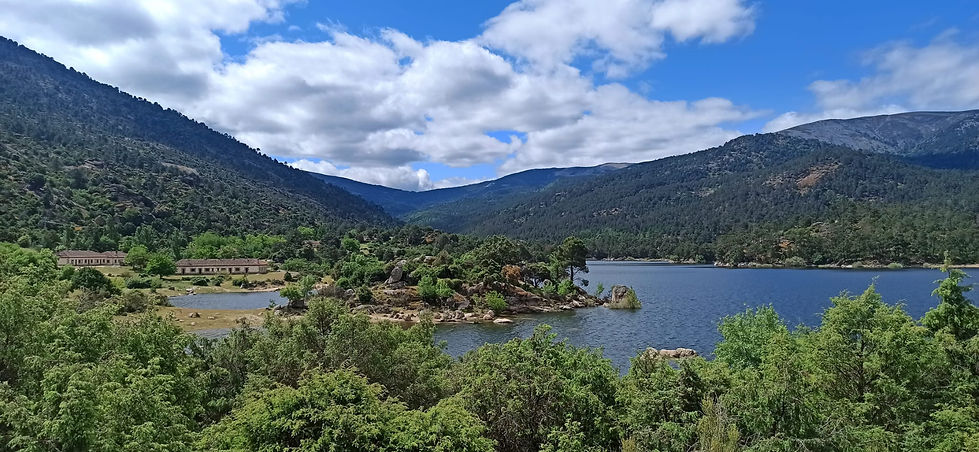 WhatsApp Image 2024-05-27 at 12.52.05 (1).jpeg