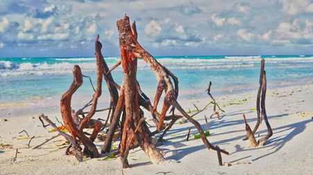 beach-2300288_1920.jpg