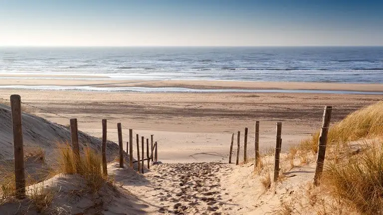 strand-van-ter-heijde-aan-zee-in-zuid-holland.webp