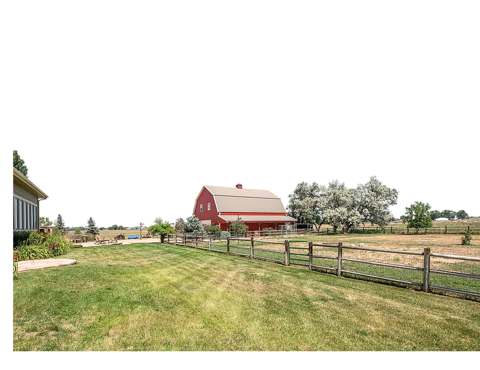 THE ELM MOOD BOARDS (20 × 25_edited.png