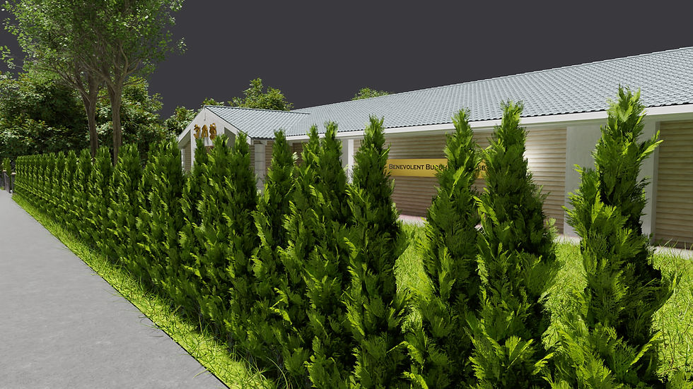 Garden landscape plant planting