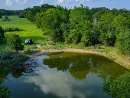 Aerial Shot of Pond for the Cattle