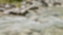 DSC04404.jpeg