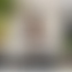 “That Girl” Phenomenon - TikTok’s Biggest Lie