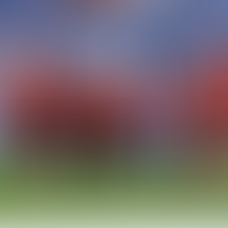 Luton Town: Against All Odds