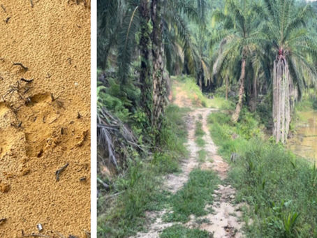 DIRECTIONS TO KLMBH BASH #304 @ DENAI ALAM, SUNDAY 29TH MAY 2022