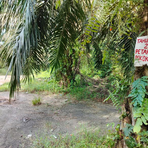 DIRECTIONS TO KLMBH BASH #317 @ BUKIT BERUNTUNG, SUNDAY 6TH JULY 2025