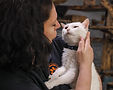Footage for photos.00_00_46_00.Still007-Edit.jpg