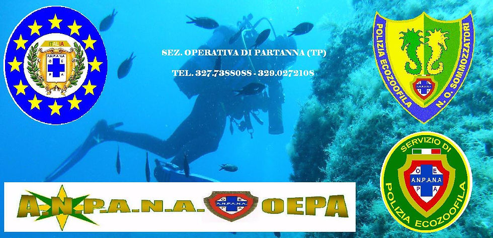 ANPANA COPERTINA MODIFICATA.JPG