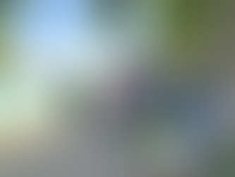 米兰“天鹅湖边烧烤活动”|4月7号和白夜行联合举办！