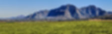 Landscape.jpg