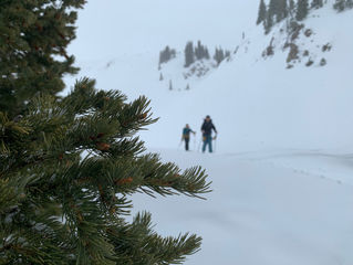 SNOWYTELLING- Reflections on Writing About Snow and Avalanches