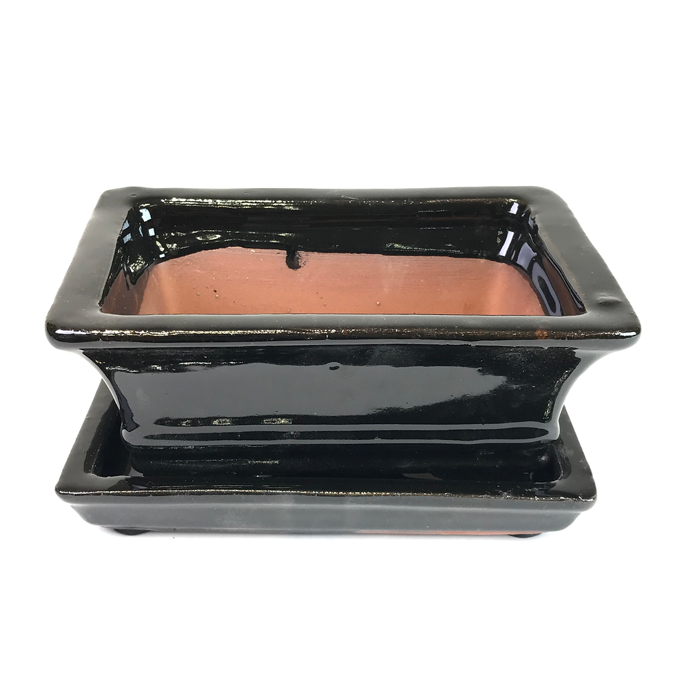 Miniature : 16 x 11 x 7 cm Noir inclus soucoupe