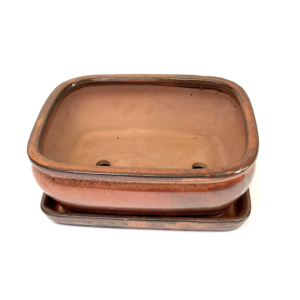 Miniature : 22 x 17 x 9 cm Rouille inclus soucoupe