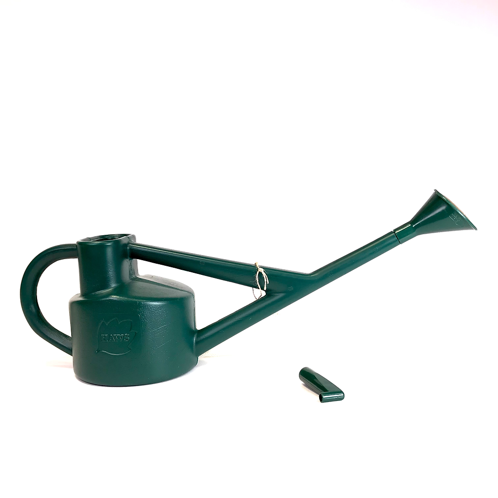 ARROSOIR HAWS de 2,2 litres