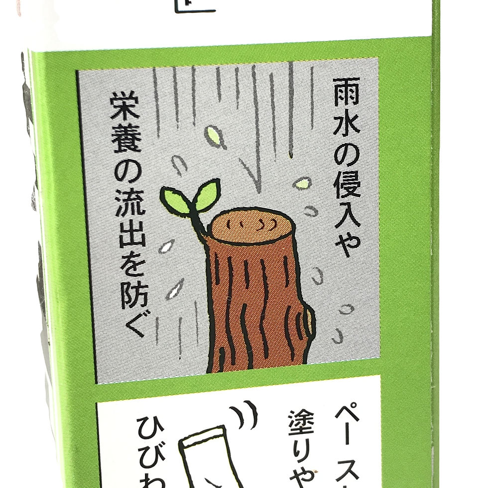 Miniature : MASTIC à cicatriser liquide de 100 g - Kiyonaru - Japon -