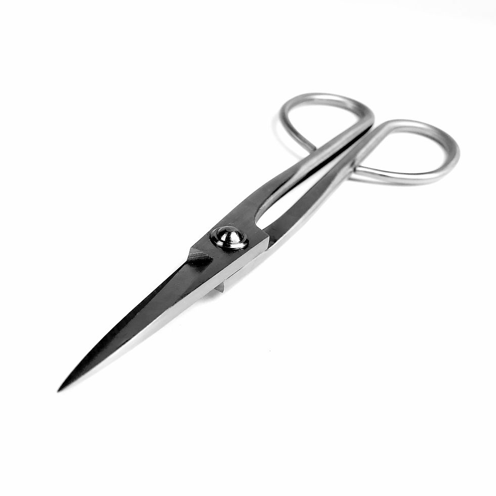 Miniature : CISEAUX LONG  210 mm INOX  DINGMU