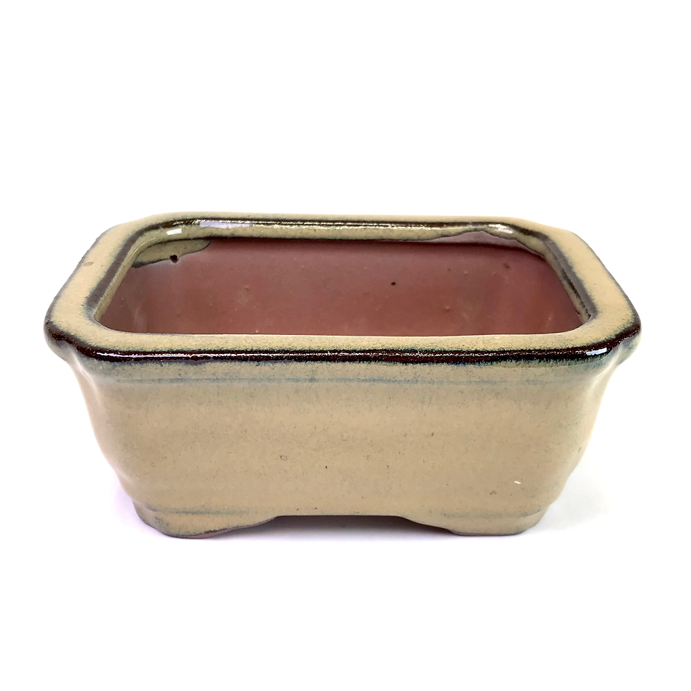 Miniature : 13 x 10 x 5 cm Verte