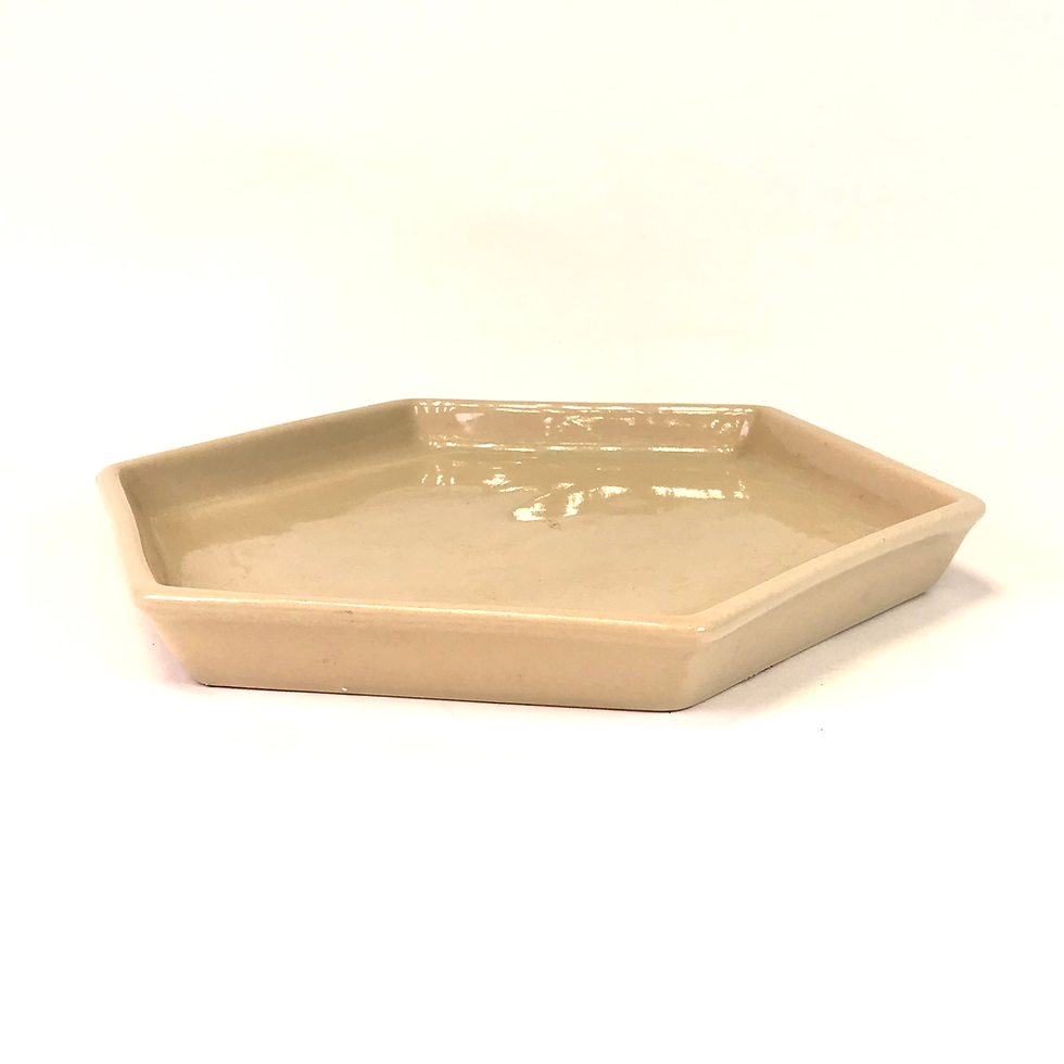 Miniature : 18 x 18 x 2 cm Soucoupe beige en céramique