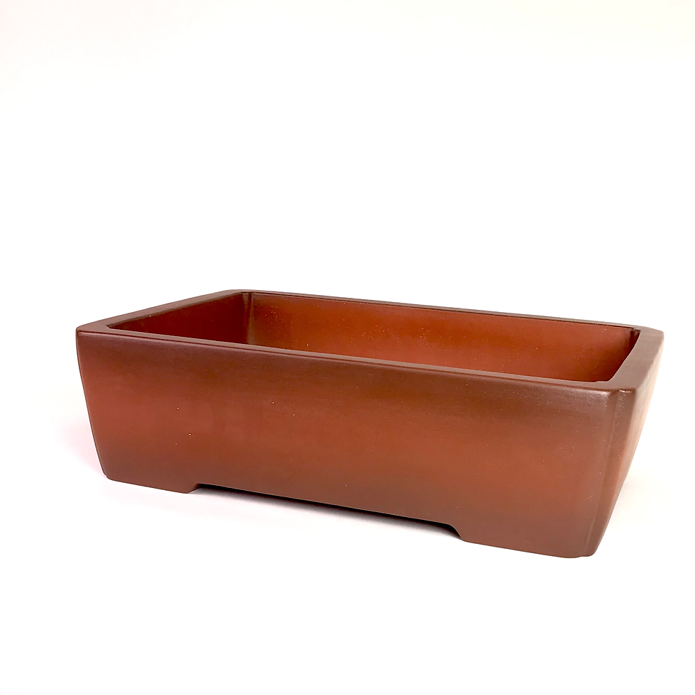 31 X 22 X 9 Cm Brut PARIS BONSAI COM 31-x-22-x-9-cm-brut-paris-bonsai-com