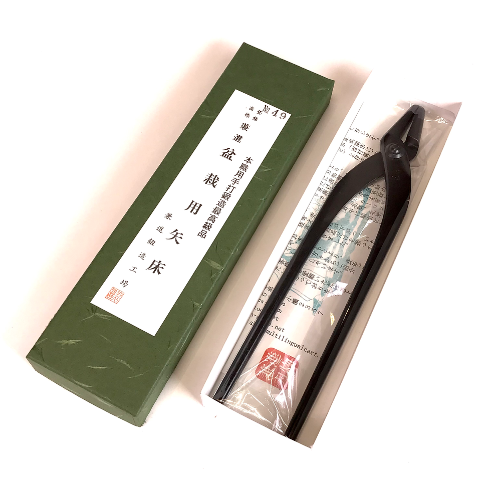 Miniature : PINCE à JIN 230 mm Acier Carbone KANESHIN  N°49