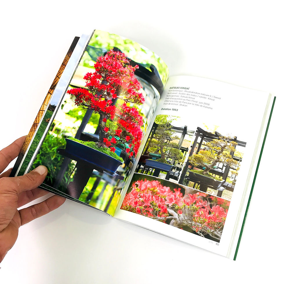Miniature : BONSAÏ du PARC FLORAL de PARIS - 152 pages en français couleurs