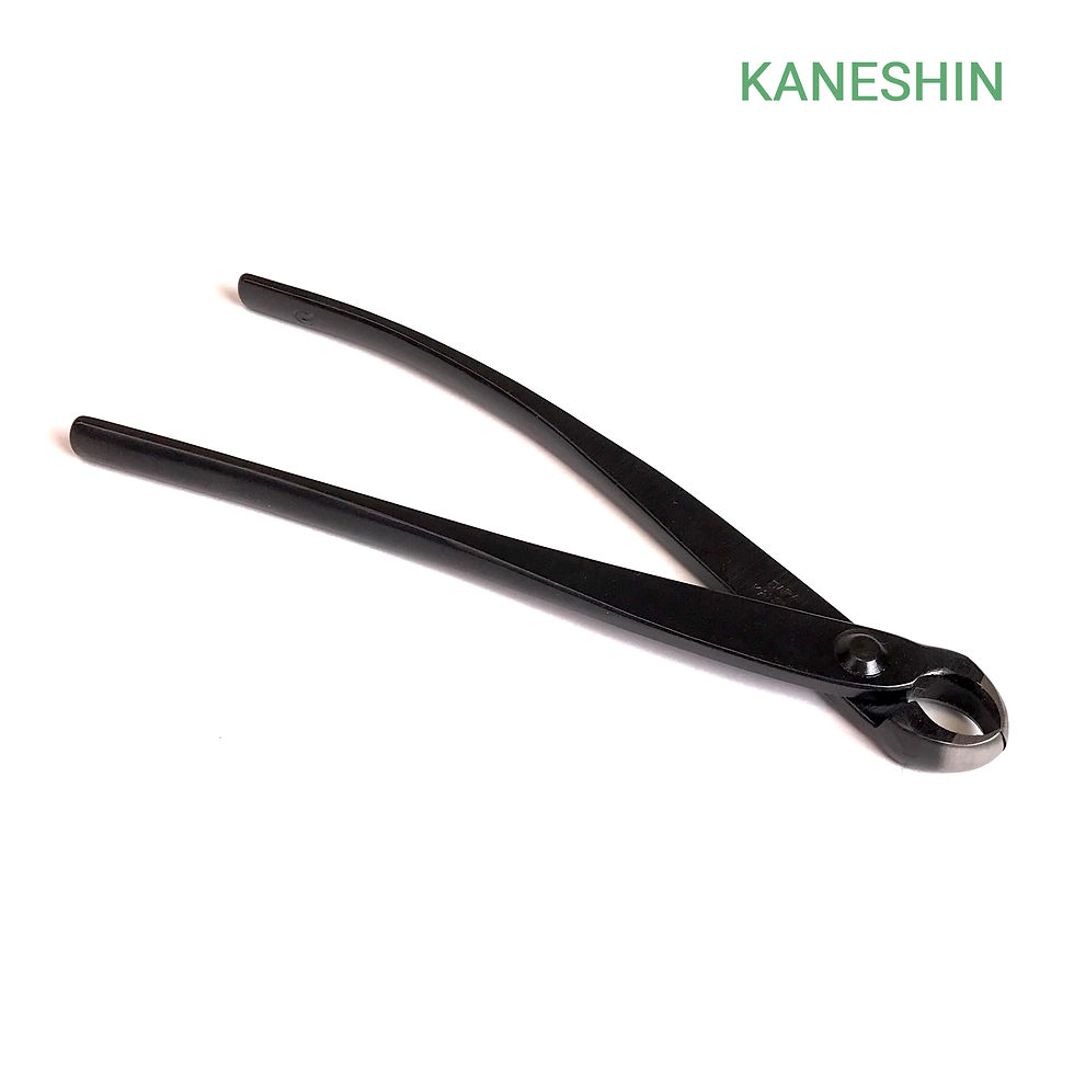 PINCE à OEIL 145 mm pour Shohin et Mame Acier Carbone KANESHIN N°8