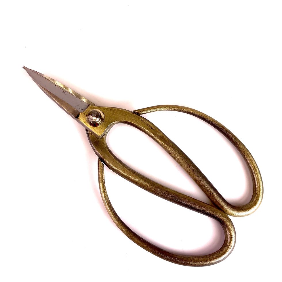 Miniature : CISEAUX de PAUME 185 mm Acier Carbone Bronze TANABE Fait main