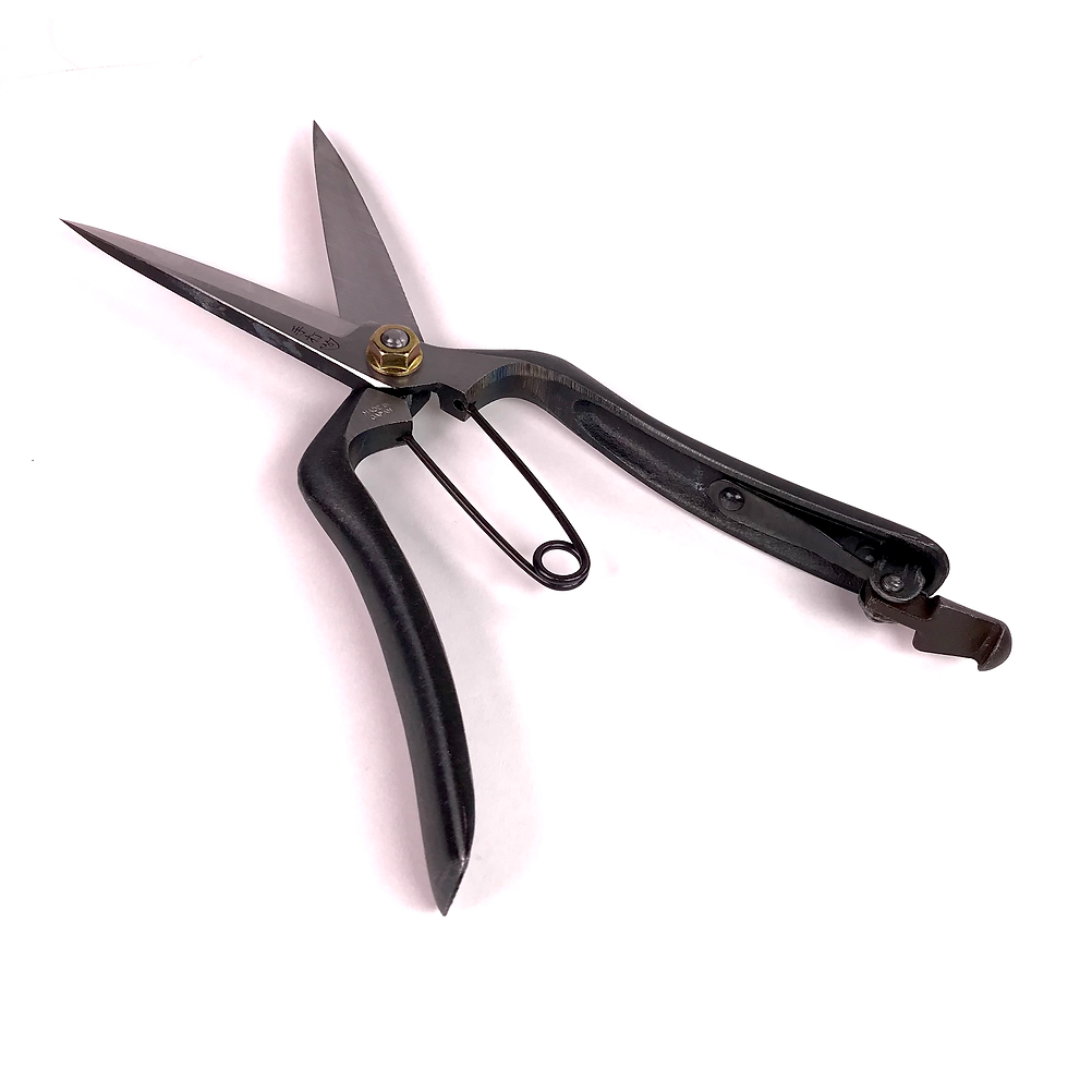 Miniature : CISEAUX SECATEUR Professionnel 230 mm Japonais KIKUWA