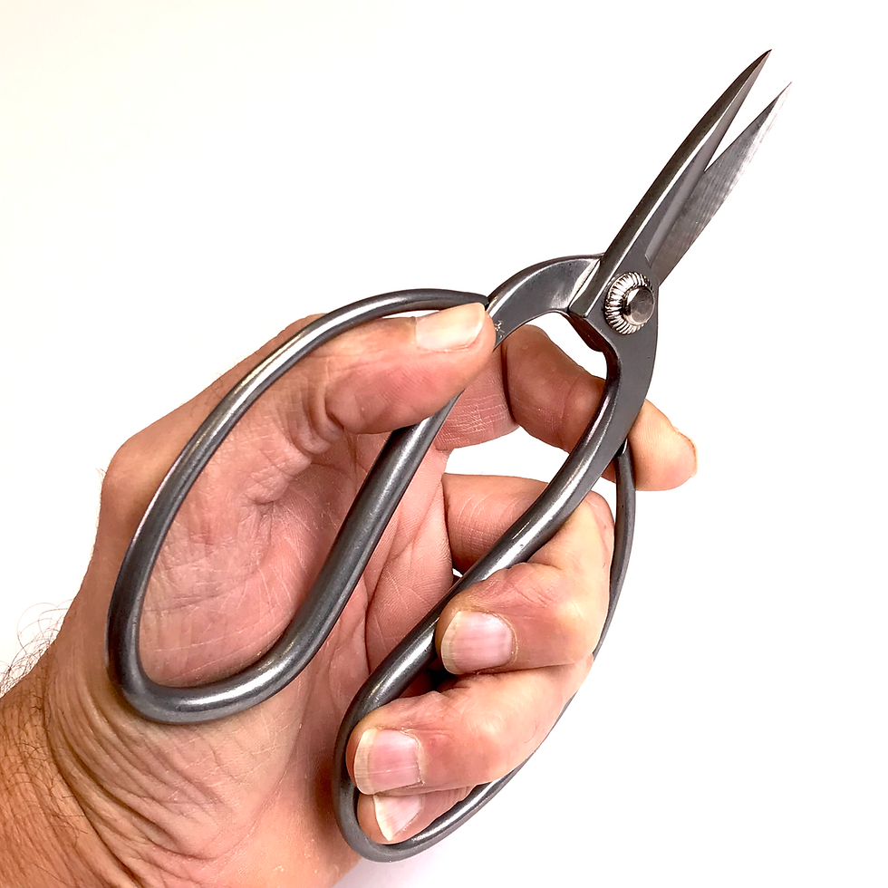 Miniature : CISEAUX de PAUME 180 mm INOX YASUGI  WAZAKURA