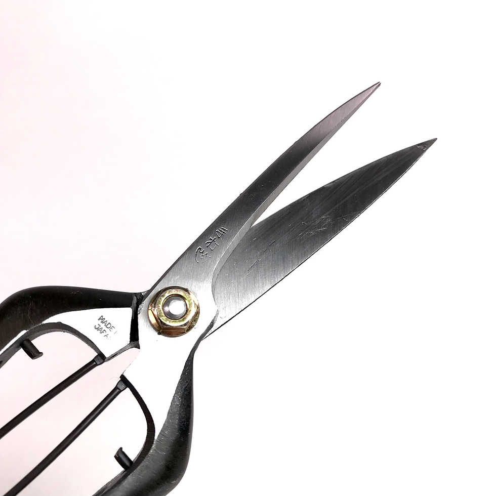 Miniature : CISEAUX SECATEUR Professionnel 230 mm Japonais KIKUWA