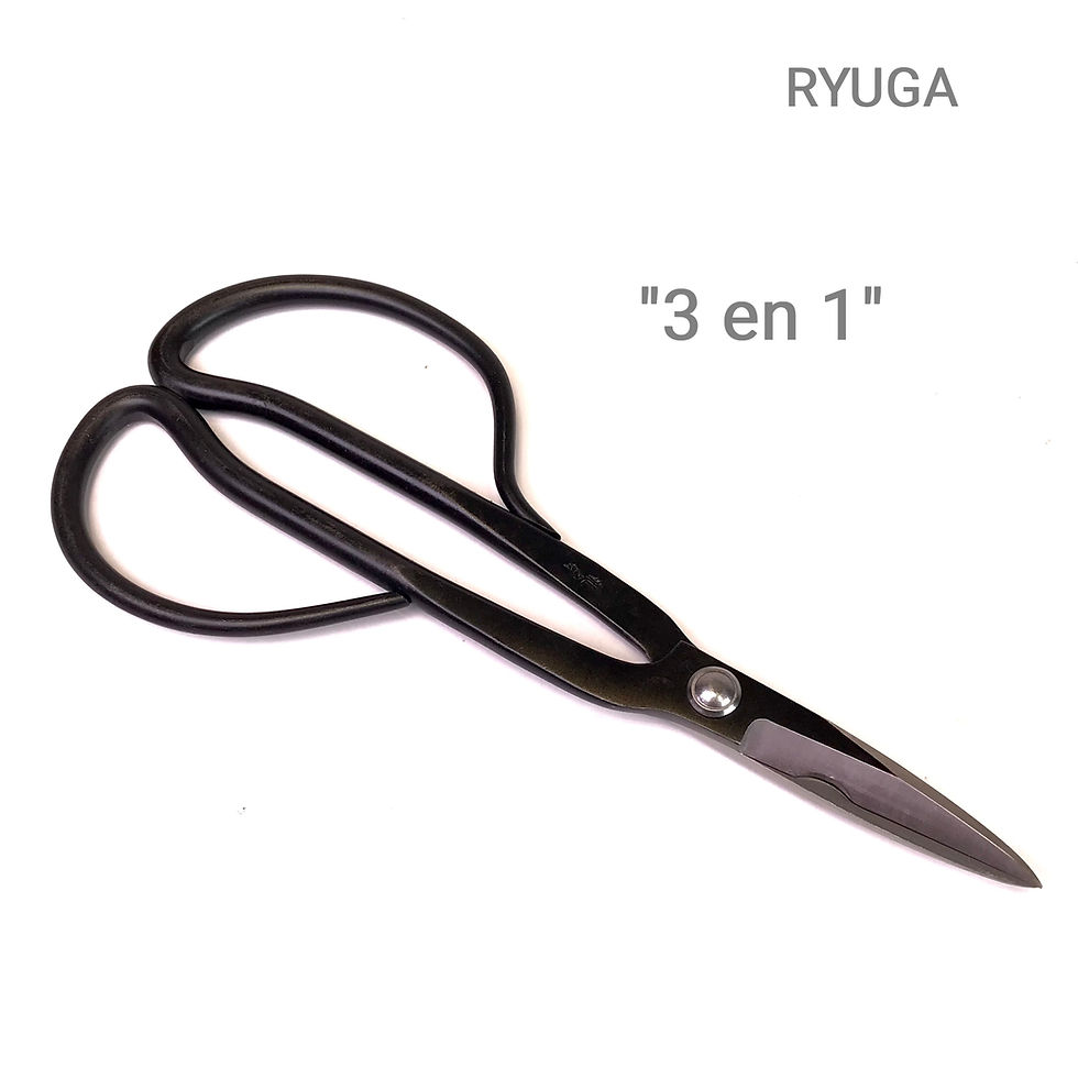 CISEAUX "3 en 1" de 210 mm Acier Carbone RYUGA