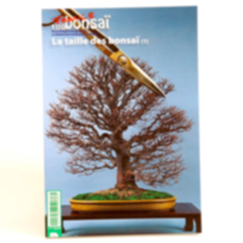 LA TAILLE DES BONSAI - Tome 1 - 125 pages en français